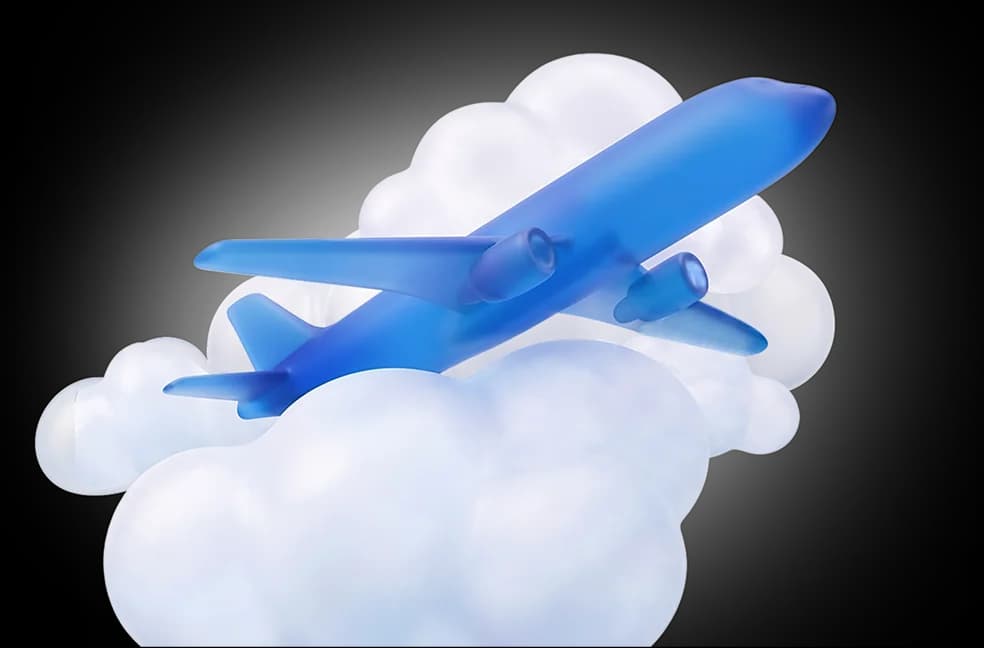 Pay & Fly
